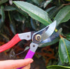 Garden Pruners Stainless Steel Garden Supplies