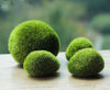 Artificial Moss Stones Grass Bryophytes Plant