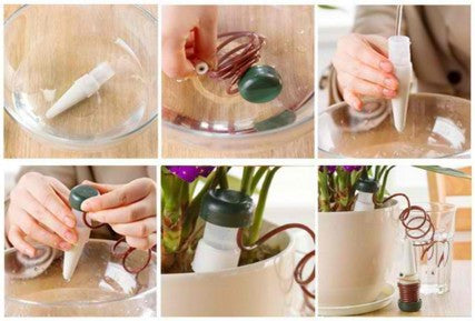 2 Pcs Automatic Drip Waterer Spike Tender