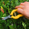 Fruit Picking Shears Stainless Steel