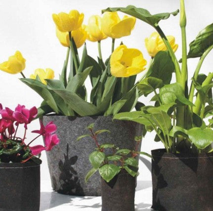 Smart Grow Pots With Sturdy Handles