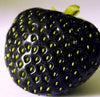 50 PCS Fruit Seeds Black Strawberry Seeds Bonsai Plants Seeds