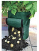 PE Bags Of Potato Cultivation Planting