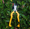 Fruit Picking Shears Stainless Steel