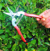 Elbow Blade Garden Fruit Picking Shears